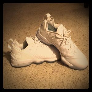 Lebron 14 low